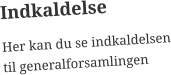 Indkaldelse Her kan du se indkaldelsen til generalforsamlingen